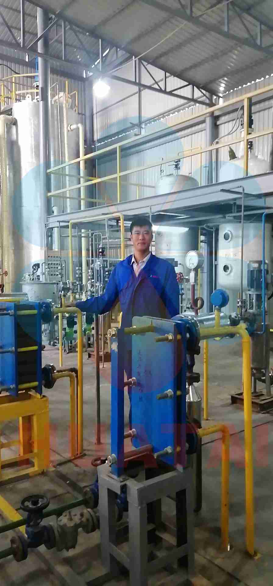 sunflower oil machine